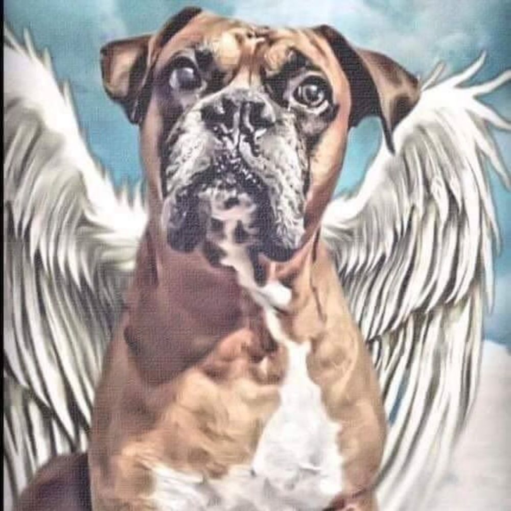 Meet your Posher, Diane